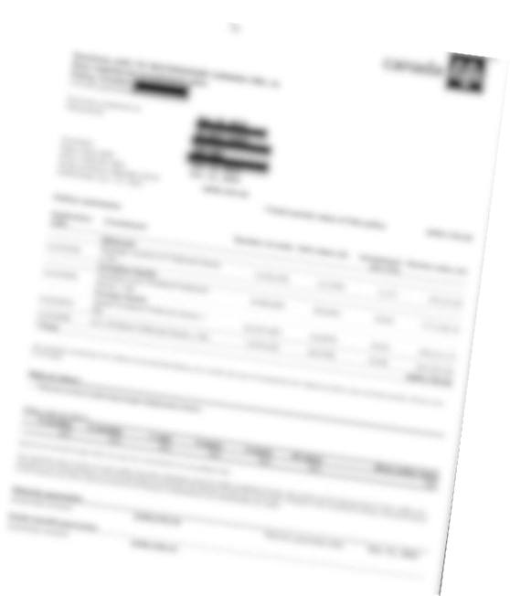 Tilted printout of a legacy portal policy summary